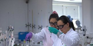 Estudios confirman beneficios del litio para el alzheimer: un impacto global con raíz en Chile