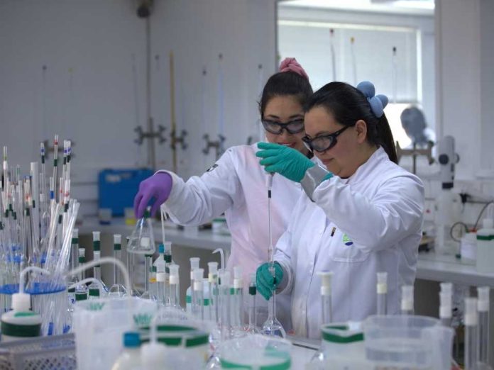 Estudios confirman beneficios del litio para el alzheimer: un impacto global con raíz en Chile
