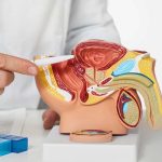 Metformina: beneficios y limitaciones en cáncer de próstata metastásico