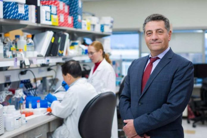 Nueva herramienta de Mayo Clinic revela cambios ocultos en el ADN del cáncer que pueden causar resistencia al tratamiento