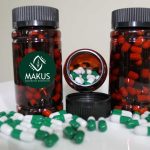 Innovación desde Aysén convierte hojas de maqui en cápsulas antioxidantes validadas científicamente