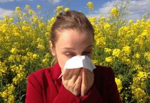 Alergias de primavera: cómo prevenir síntomas y disfrutar la temporada