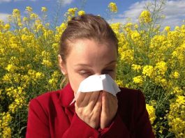 Alergias de primavera: cómo prevenir síntomas y disfrutar la temporada