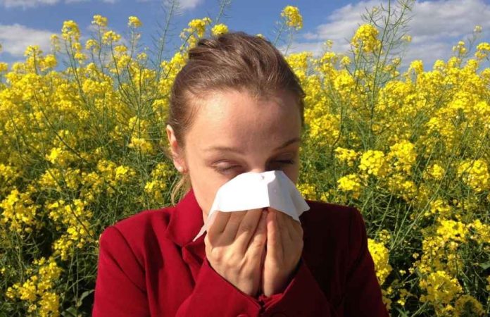Alergias de primavera: cómo prevenir síntomas y disfrutar la temporada