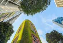 Arquitectura para la vida: cómo diseñar ciudades que cuidan la salud y el medioambiente