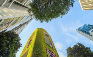 Arquitectura para la vida: cómo diseñar ciudades que cuidan la salud y el medioambiente