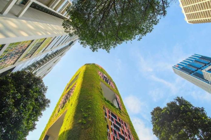 Arquitectura para la vida: cómo diseñar ciudades que cuidan la salud y el medioambiente