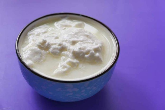 Beneficios de los alimentos fermentados Beneficios de los alimentos fermentados