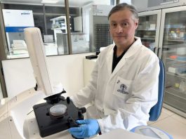 Científico puertomontino lidera investigación que vincula microplásticos con el cáncer de mama