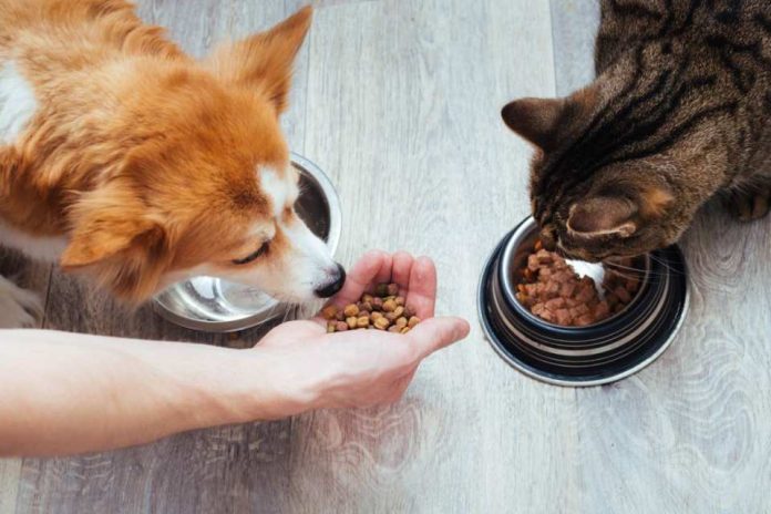 Colmevet apela a sobreseimiento de tres imputados por daños a la salud de más de 400 mascotas