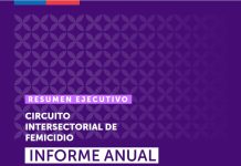 Datos femicidios actualizados Datos femicidios actualizados