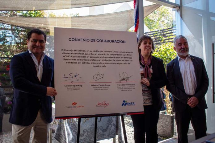 En el mes de la patria, Consejo del Salmón celebra acuerdo de colaboración con INTA y Achiga para potenciar el valor del salmón chileno