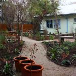 Estudio confirma beneficios terapéuticos de jardines sanadores en hospitales públicos