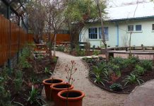 Estudio confirma beneficios terapéuticos de jardines sanadores en hospitales públicos