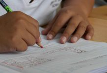 Estudio revela que una dieta saludable mejora el rendimiento matemático en escolares chilenos