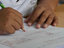 Estudio revela que una dieta saludable mejora el rendimiento matemático en escolares chilenos
