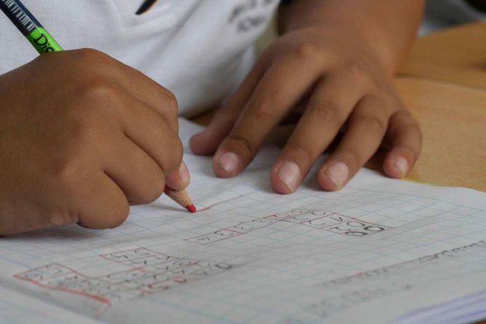Estudio revela que una dieta saludable mejora el rendimiento matemático en escolares chilenos