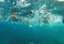 Investigadores chilenos proponen política pública para dar trazabilidad a contaminantes emergentes en el agua