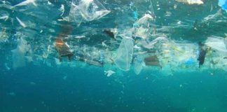 Investigadores chilenos proponen política pública para dar trazabilidad a contaminantes emergentes en el agua