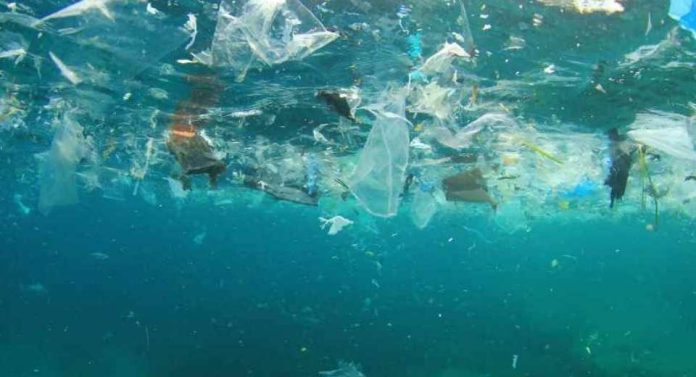 Investigadores chilenos proponen política pública para dar trazabilidad a contaminantes emergentes en el agua