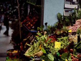 Italia y Chile: una alianza gastronómica para promover la dieta mediterránea 