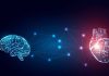La conexión entre el cerebro y el corazón: Experto de Mayo Clinic explica este poderoso vínculo que funciona en ambas direcciones
