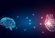 La conexión entre el cerebro y el corazón: Experto de Mayo Clinic explica este poderoso vínculo que funciona en ambas direcciones