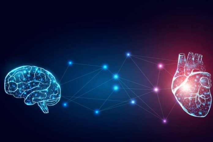 La conexión entre el cerebro y el corazón: Experto de Mayo Clinic explica este poderoso vínculo que funciona en ambas direcciones
