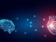 La conexión entre el cerebro y el corazón: Experto de Mayo Clinic explica este poderoso vínculo que funciona en ambas direcciones