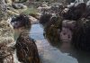Metales pesados y estacionalidad comprometen la reproducción del huiro negro en Quintero-Puchuncaví nuevo estudio alerta sobre impactos ecológicos y productivos