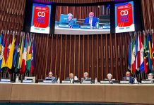 Ministra de Salud destaca avances de Chile en protección infantil y acceso universal durante Consejo Directivo de OPS
