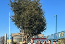 Red Dávila reduce lista de espera en Chiloé para atenciones médicas en Cardiología y Neurología (1)