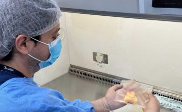Una alianza que preserva corazones: VidaCel y UC Christus impulsan un avance pionero en cirugía cardiovascular en Chile