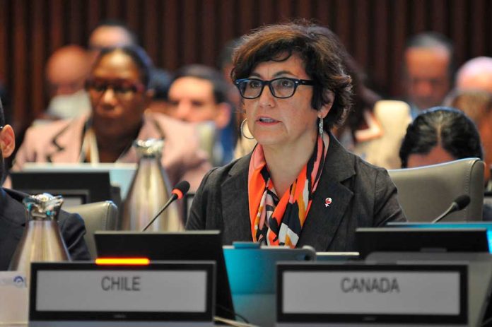 Ministra Ximena Aguilera destaca experiencia de Chile en acceso a tecnologías sanitarias de alto costo en el 62º Consejo Directivo de la OPS/OMS