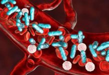 La sepsis no espera: Cómo actuar rápido frente a una infección generalizada