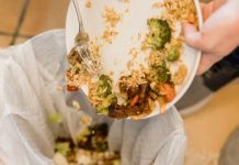Chile desperdicia 2,5 millones de toneladas de alimentos al año Nutricionista revela cómo aprovecharlos mejora la salud y ahorra dinero