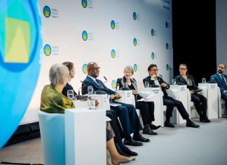 Cumbre Mundial de la Salud 2025 #WHS2025: ministra Aguilera destaca modelo de APS y preocupación por la Salud Mental