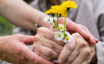 El Papa León XIV llama a una “revolución del cuidado” hacia los adultos mayores