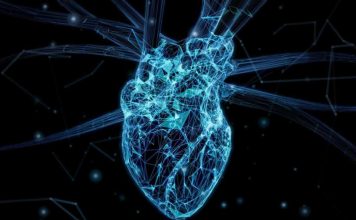 “Ensayos clínicos virtuales” pueden predecir el éxito de medicamentos para insuficiencia cardíaca