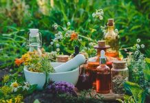 Fitopreparados para alergias: medicina alternativa para las alergias estacionales