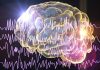 Innovación en el tratamiento de la epilepsia: Alternativas a la medicación buscan restablecer y reparar el cerebro, explica experto