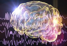Innovación en el tratamiento de la epilepsia: Alternativas a la medicación buscan restablecer y reparar el cerebro, explica experto