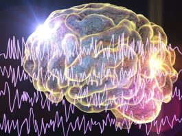 Innovación en el tratamiento de la epilepsia: Alternativas a la medicación buscan restablecer y reparar el cerebro, explica experto