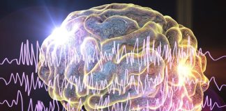 Innovación en el tratamiento de la epilepsia: Alternativas a la medicación buscan restablecer y reparar el cerebro, explica experto