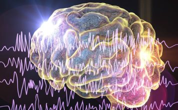 Innovación en el tratamiento de la epilepsia: Alternativas a la medicación buscan restablecer y reparar el cerebro, explica experto