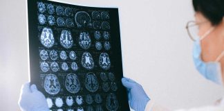 Investigación estudia cómo el cerebro adquiere experticia visual al procesar imágenes