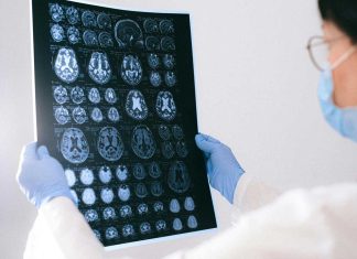 Investigación estudia cómo el cerebro adquiere experticia visual al procesar imágenes