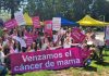 Investigación revela que la alimentación y hábitos saludables pueden evitar el riesgo de cáncer de mama