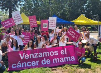 Investigación revela que la alimentación y hábitos saludables pueden evitar el riesgo de cáncer de mama
