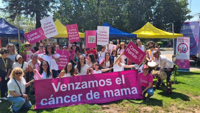 Investigación revela que la alimentación y hábitos saludables pueden evitar el riesgo de cáncer de mama